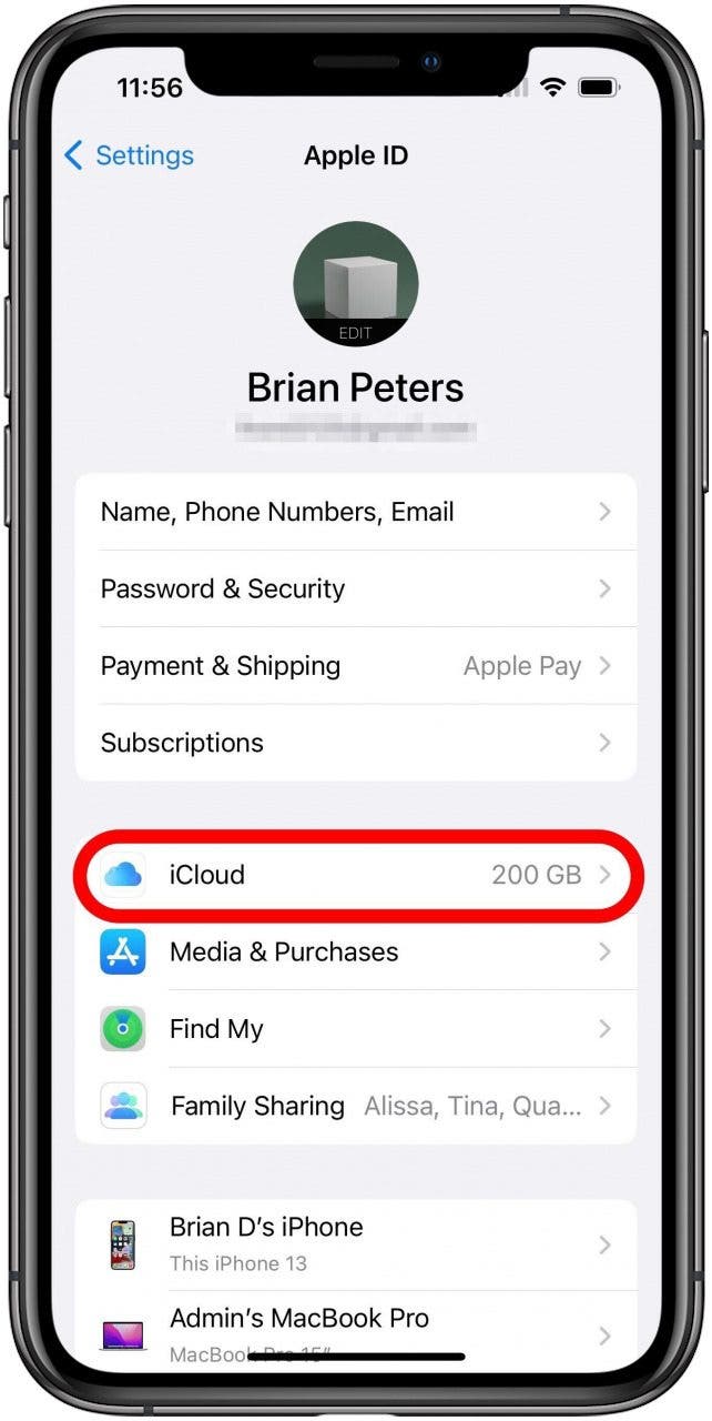 Apple ID Settings screen with the iCloud option marked.
