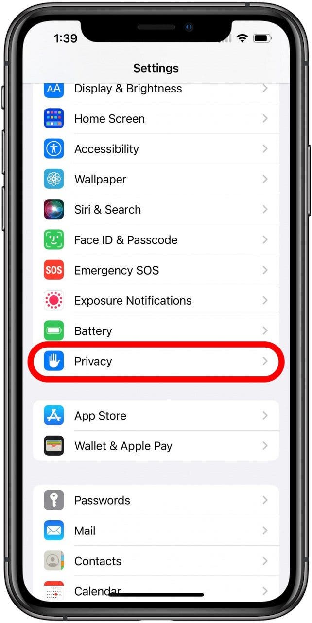 Settings screen with Privacy option marked