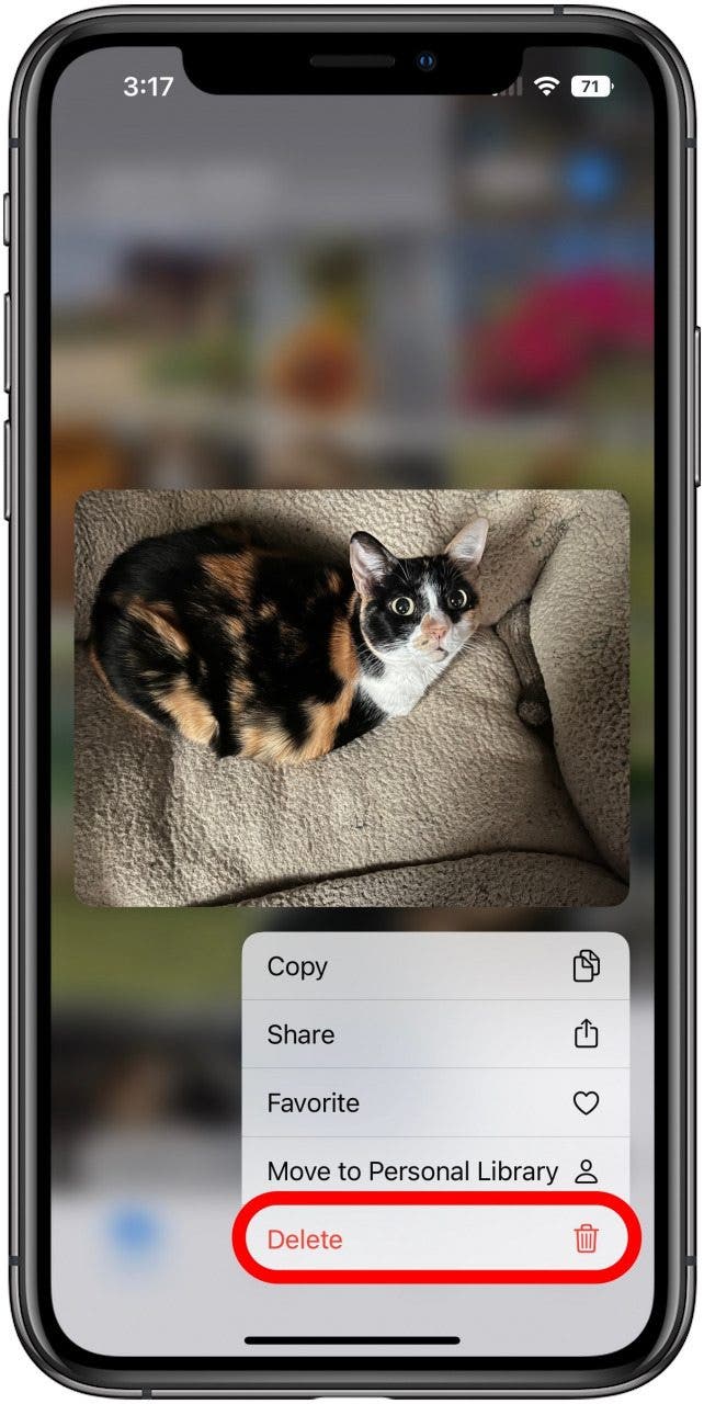 Photos app with the long press menu open for a photo of a cat in the Shared Library. The Delete option is marked.