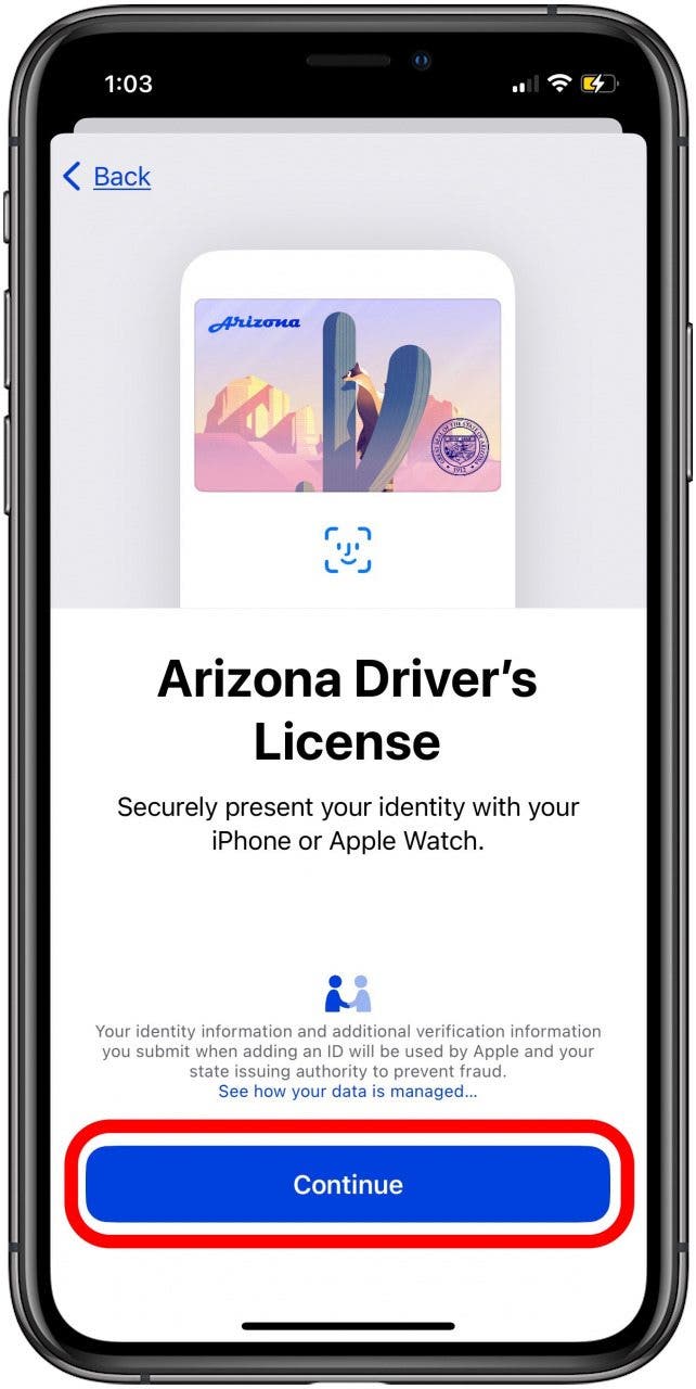tap continue to add license to apple wallet