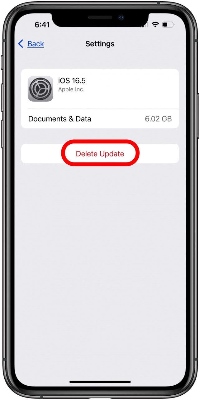 tap delete update to delete ipados or ios update