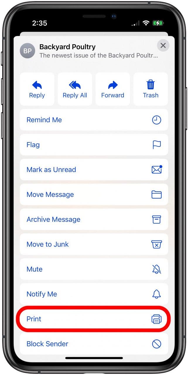 tap print to create pdf on iphone from email