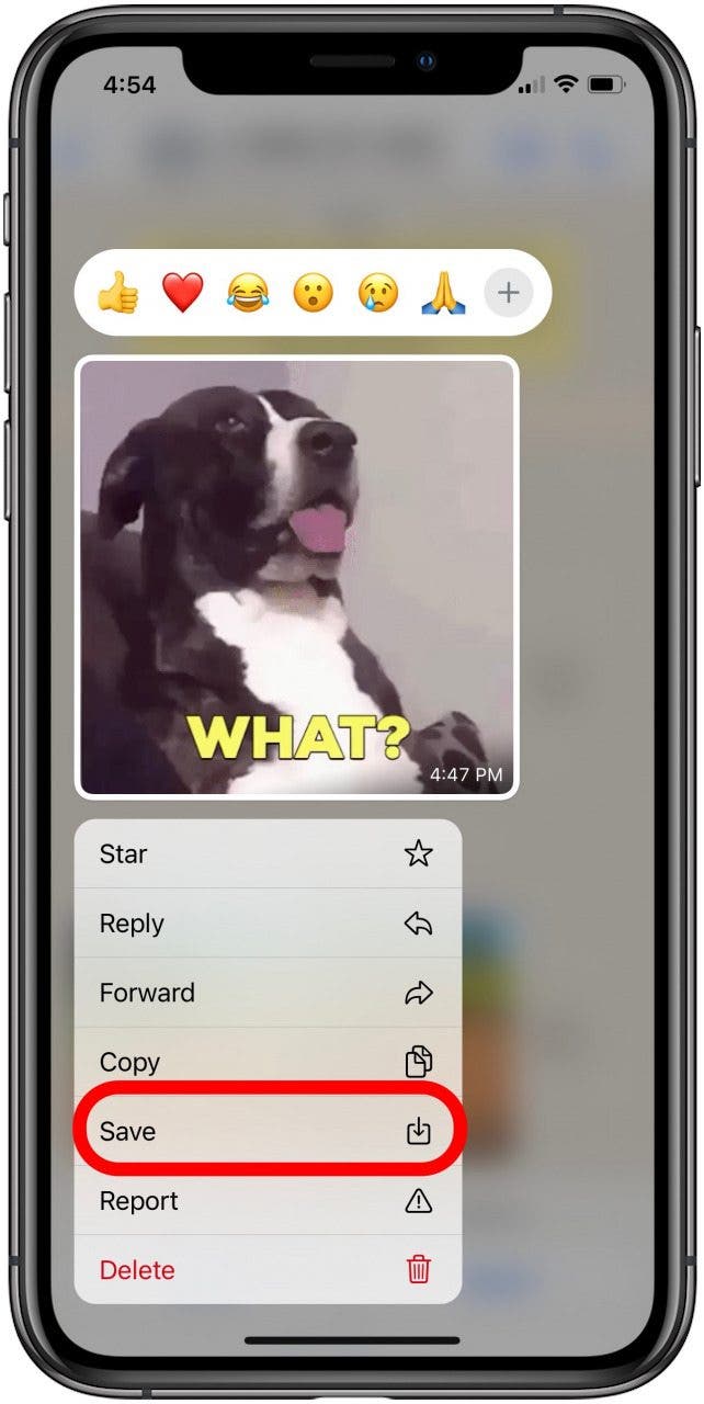 How to Save GIFs on an iPhone Download Your Favorites