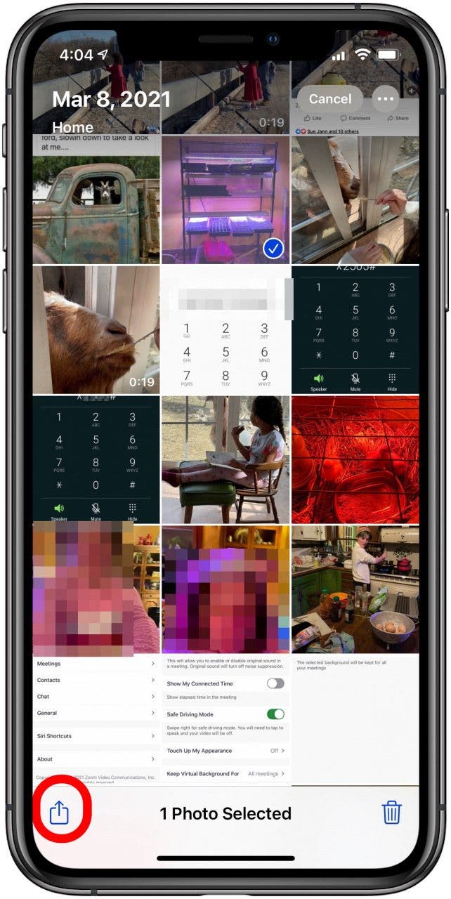 How to Create a Photo Album on Your iPhone & iPad (Updated for iOS 15)