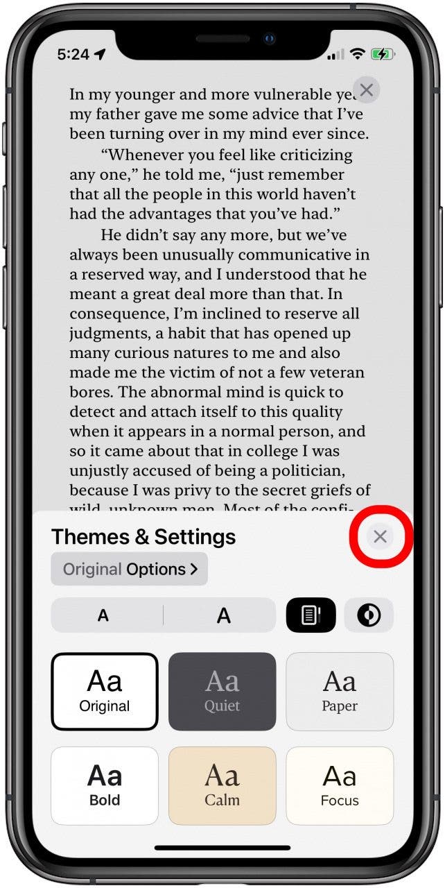 tap the x once you've chosen your apple books theme