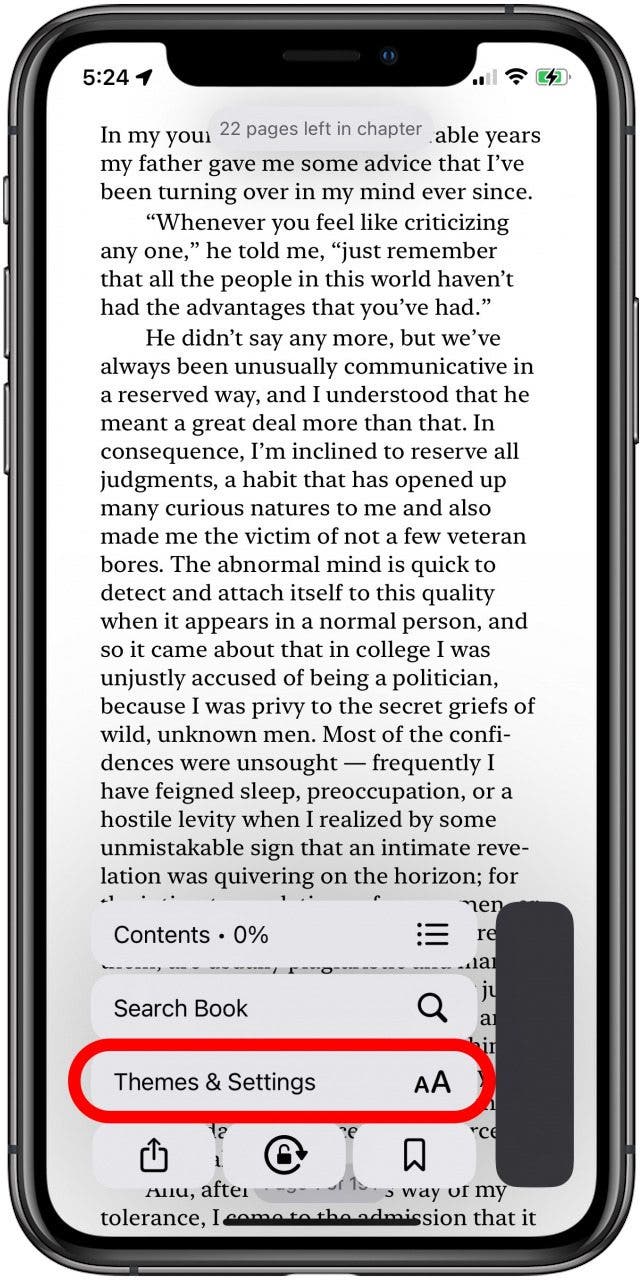 tap themes and settings to customize iphone theme for reading books