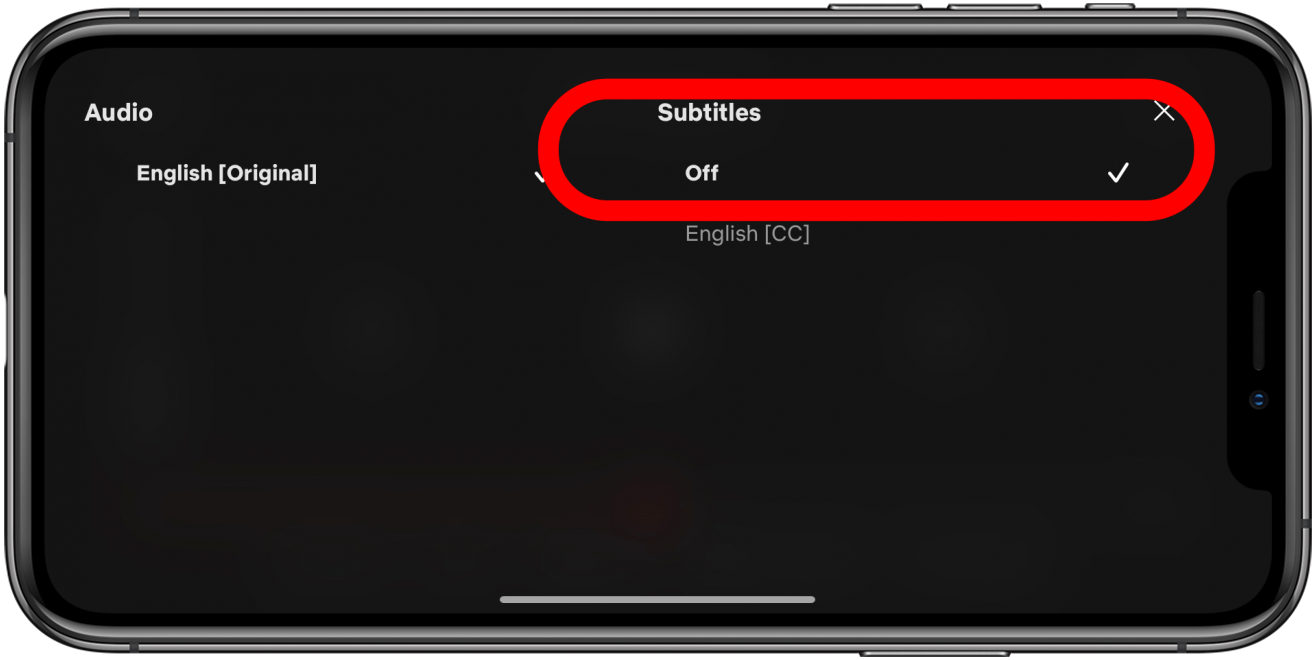 netflix subtitles