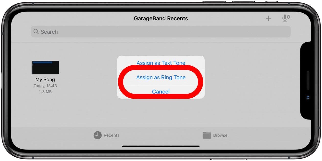 Tap Assign as Ring Tone.