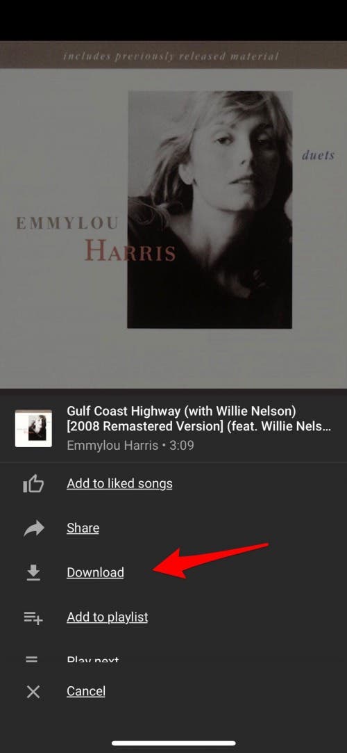 how to download a youtube video