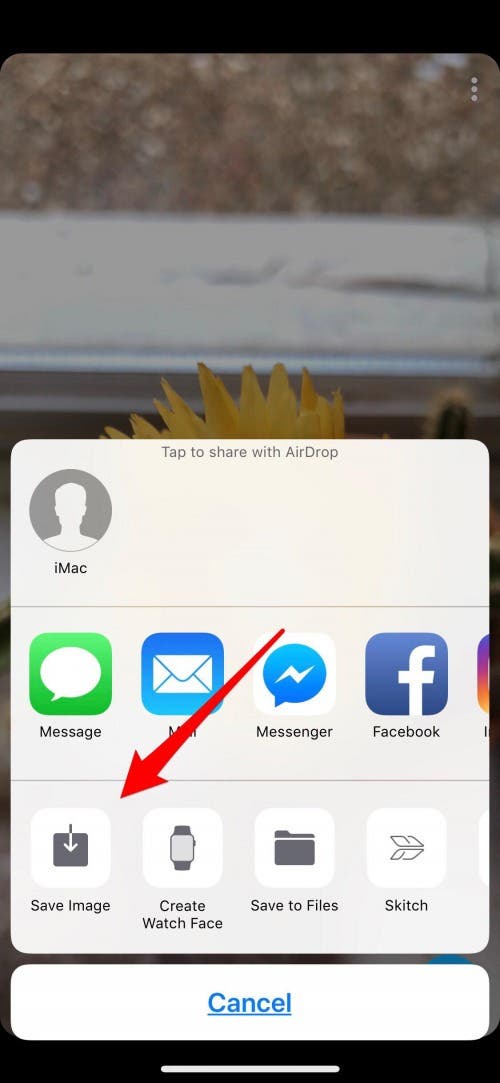 Snapchat Saver How to Save a Photo from Snapchat