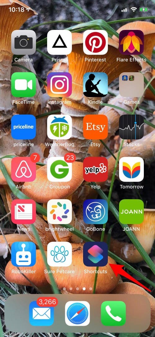 latest ios version