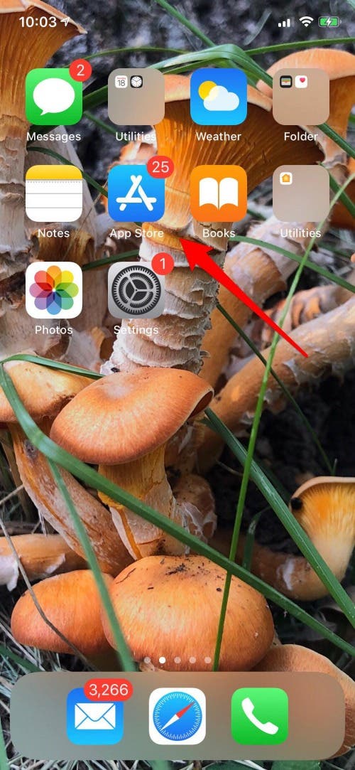 shortcuts