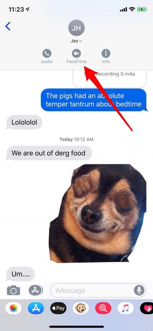 group facetime from messages app