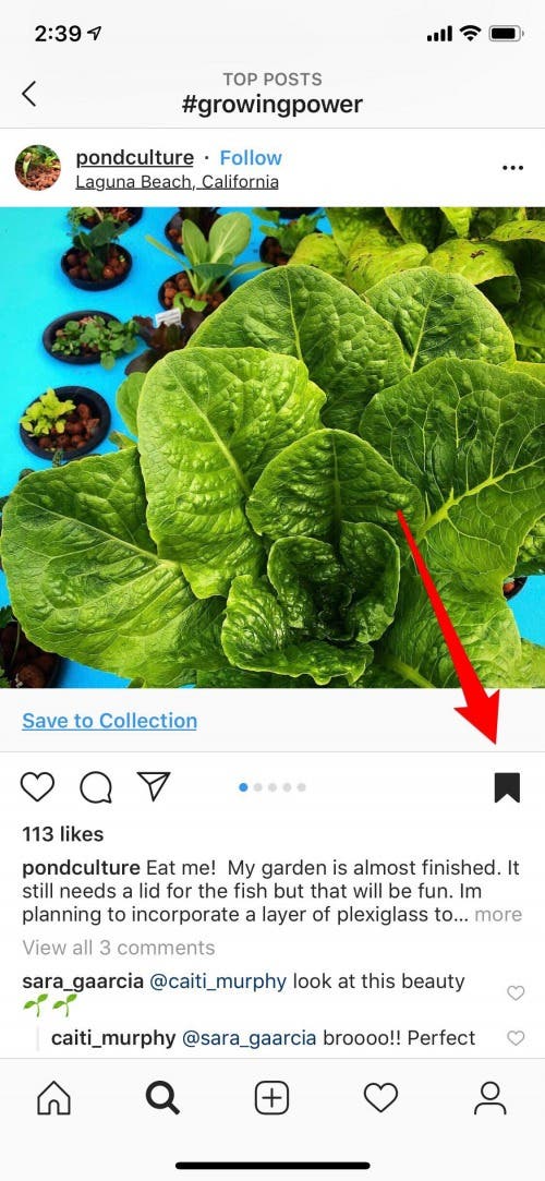 save insta post