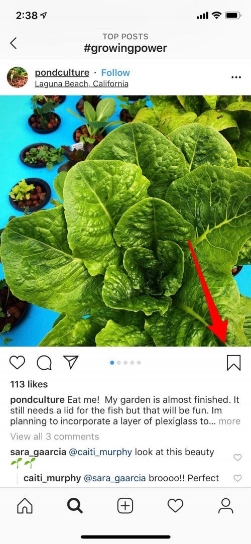 bookmark and instagram post