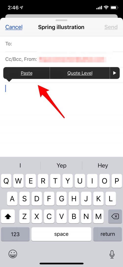 copy and paste picture in email