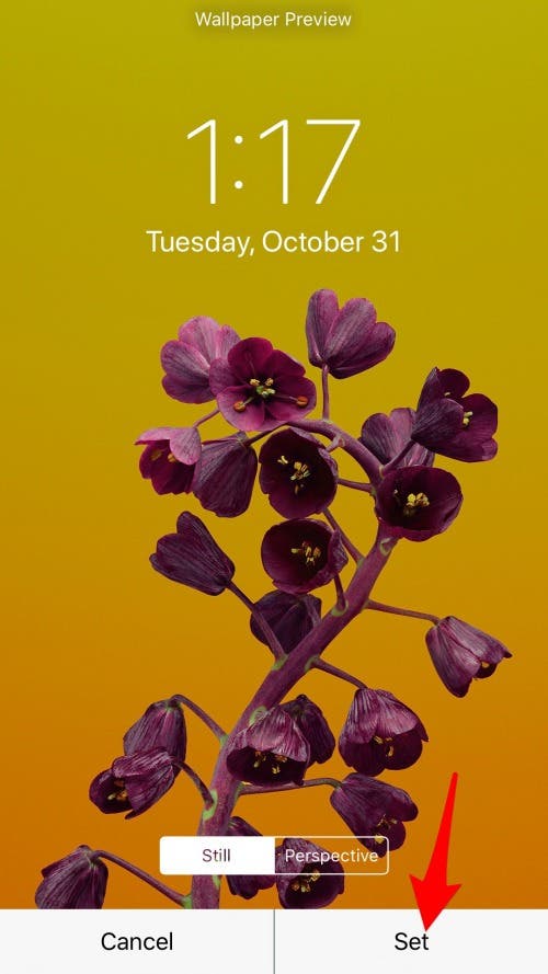 How to Use One of the New iOS 11 Wallpapers on iPhone