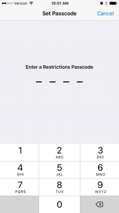 How to Restrict Access to Adult Websites on iPhone or iPad