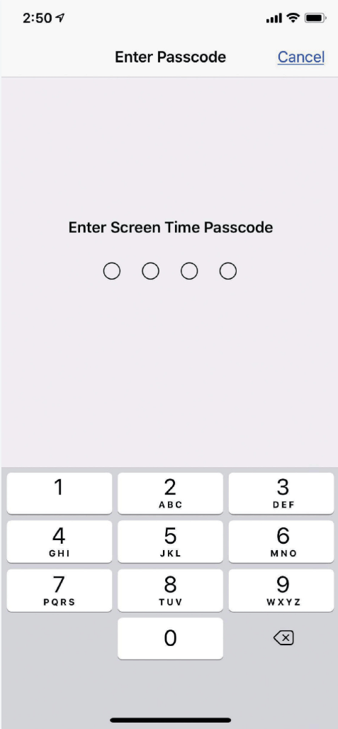 iphone passcode