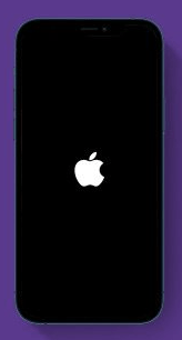 reboot iphone or ipad to get people and pets album to appear reboot iphone or ipad to get people and pets album to appear