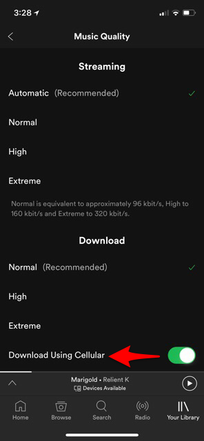 How Much Data Does Spotify Use on iPhone & iPad?