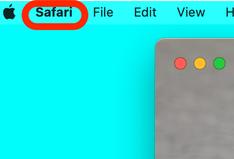 delete extension safari ipad