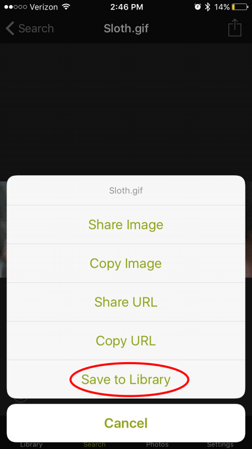 How To Download Save Gifs On Iphone Updated For 2018 Just copy the tumblr video url into the. how to download save gifs on iphone