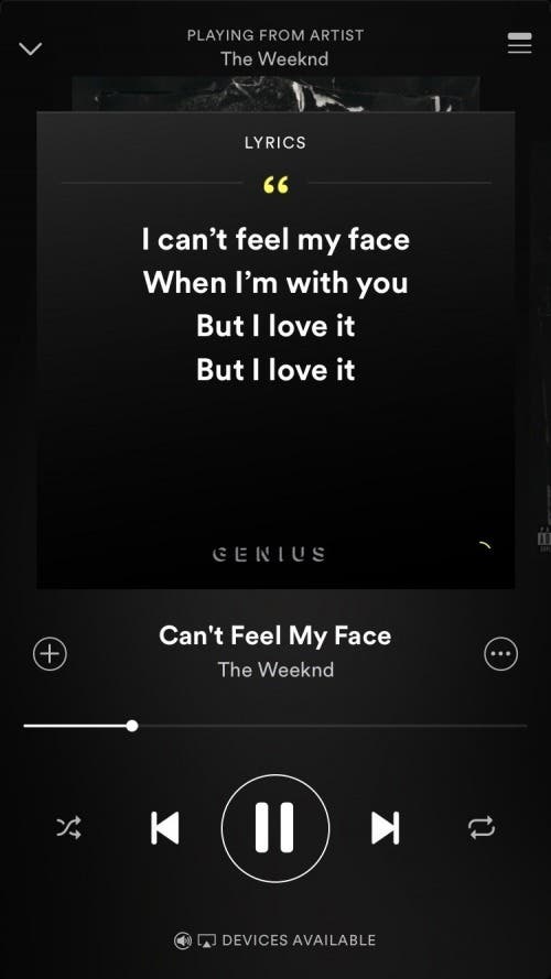 The MusixMatch bug is crazy, lyrics aren't provided by Spotify