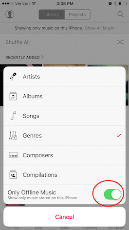  How to View Only Offline Music in Apple Music