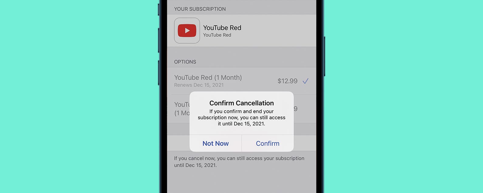 How to Find, Manage & Cancel Subscriptions on iPhone (2022 Update)