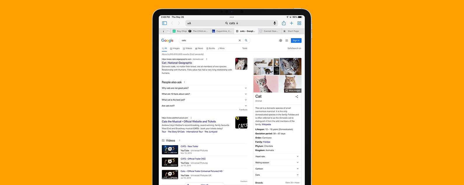 Safari Tabs Disappeared on iPhone? How to Get Them Back!