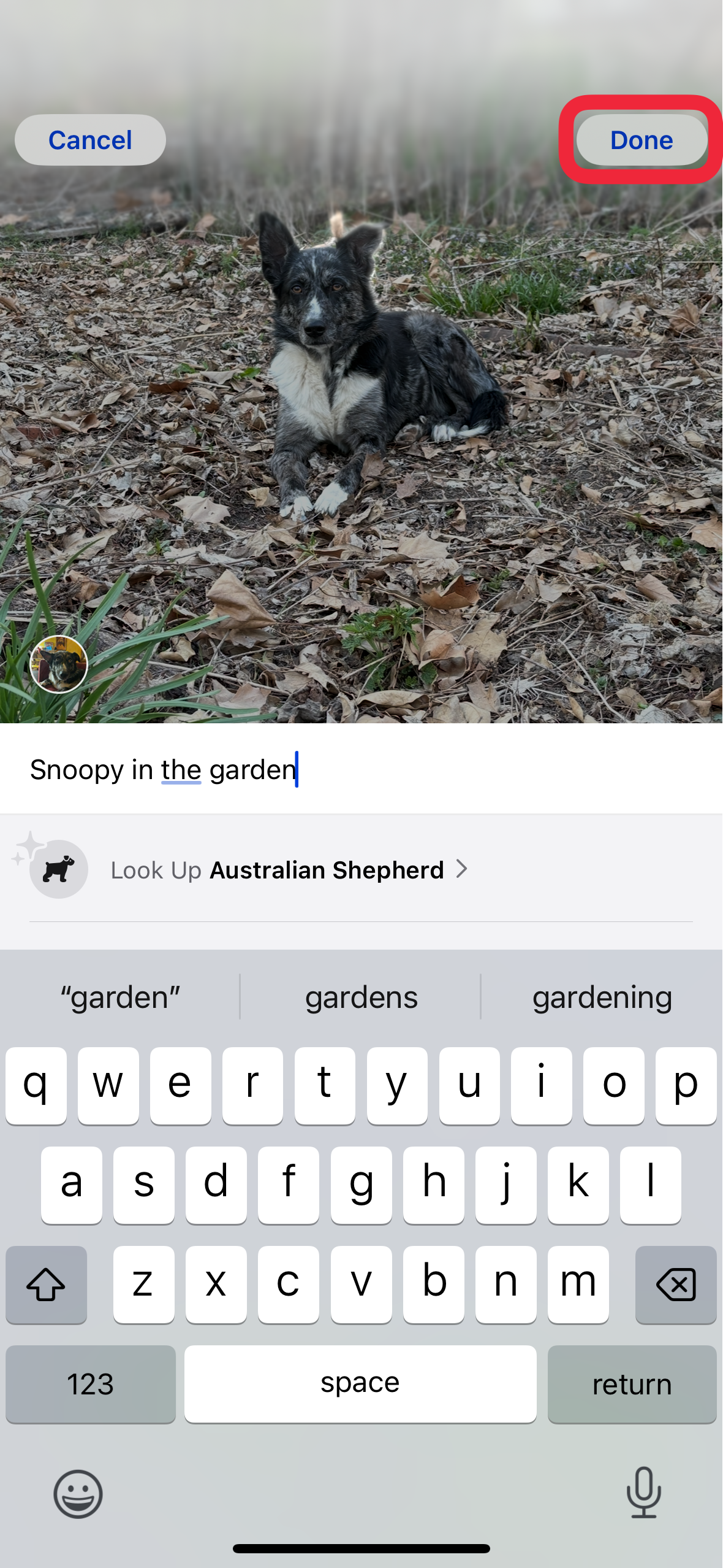 tap done to add caption to photo iphone
