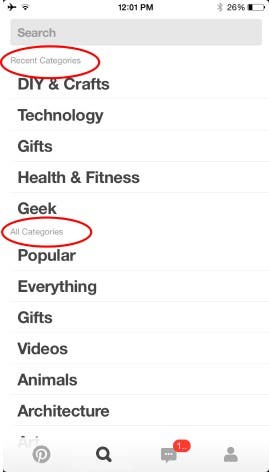 pinterest categories