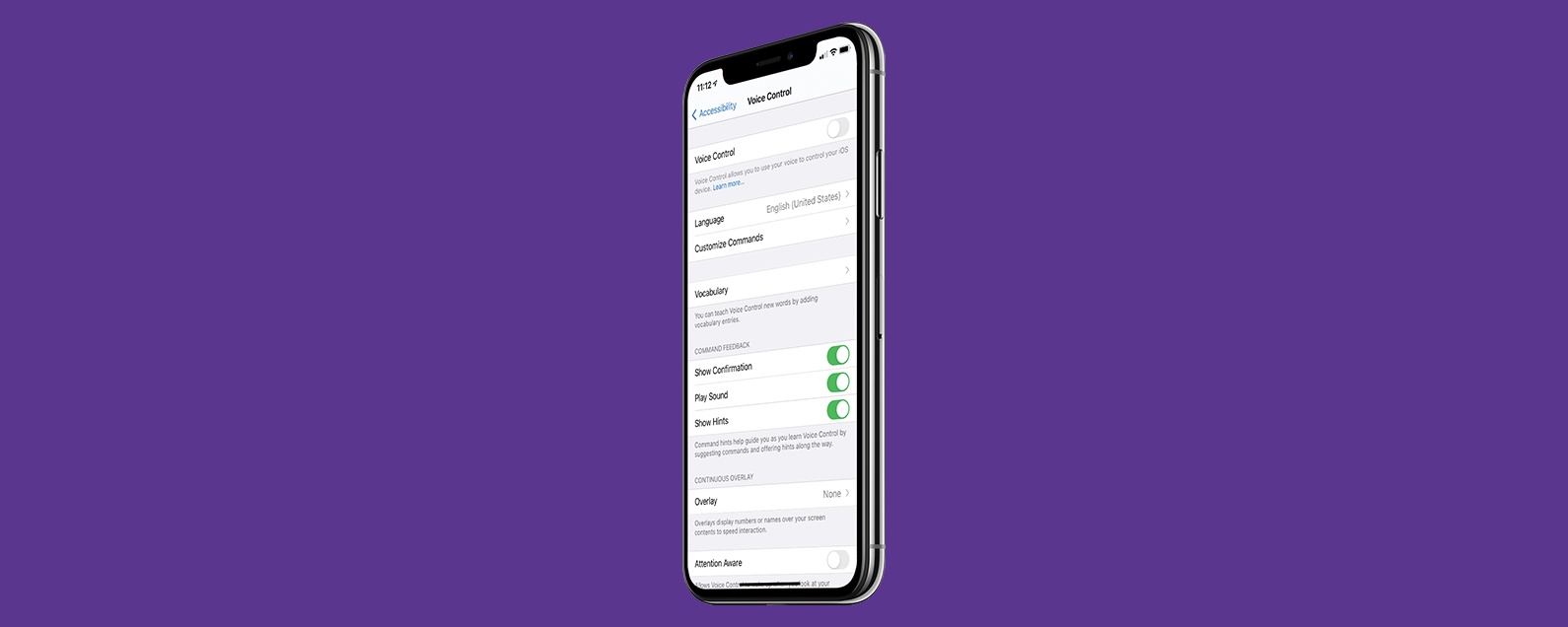 how to deactivate voice control on iphone 11