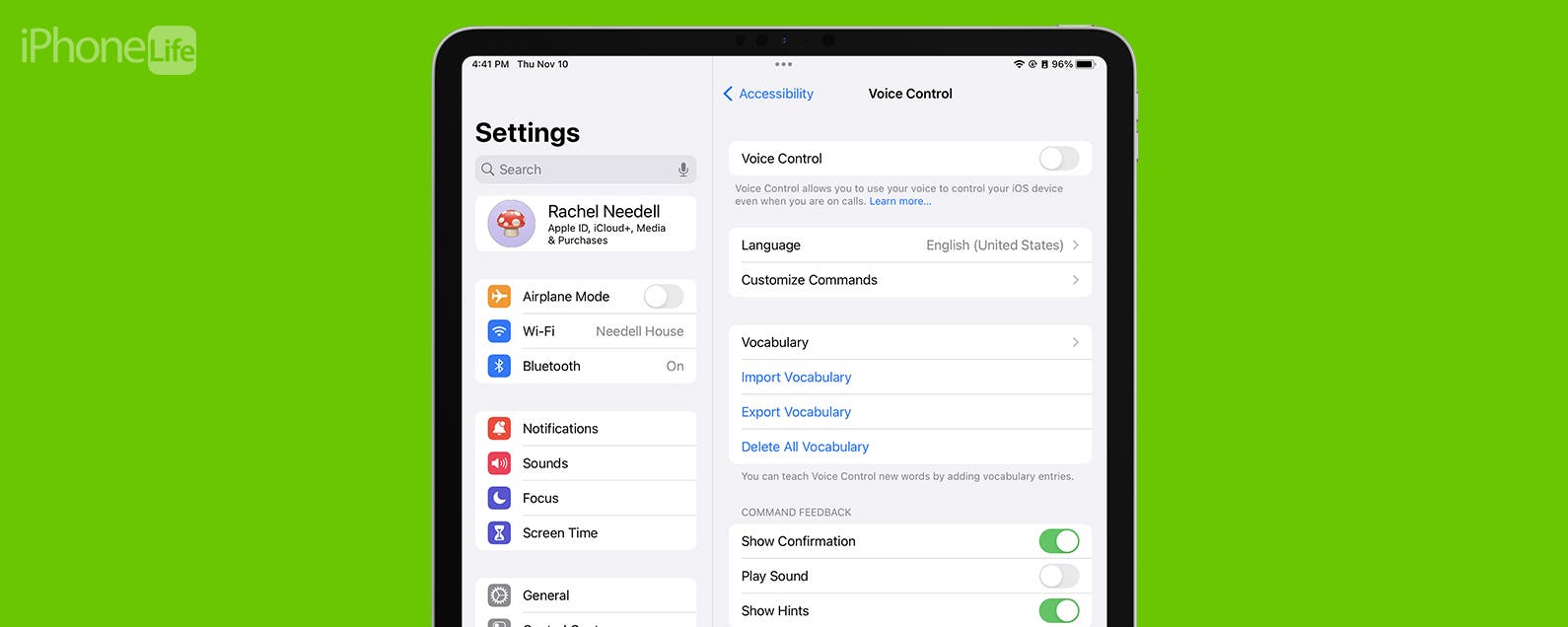 how-to-turn-off-voice-control-on-ipad