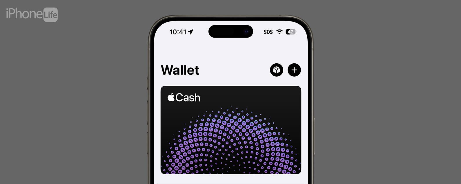 Find Your Hidden Apple Cash Card Number