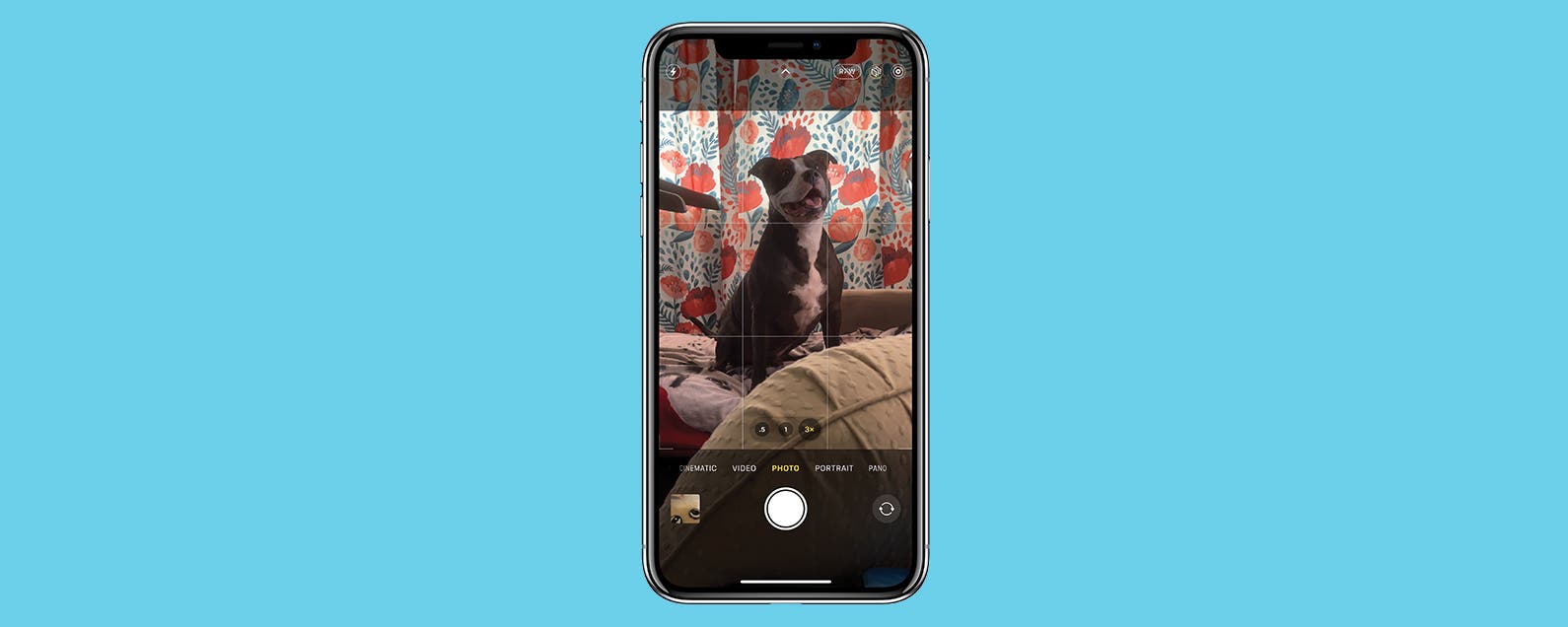 Optical Zoom vs. Digital Zoom iPhone Explained iOS 17